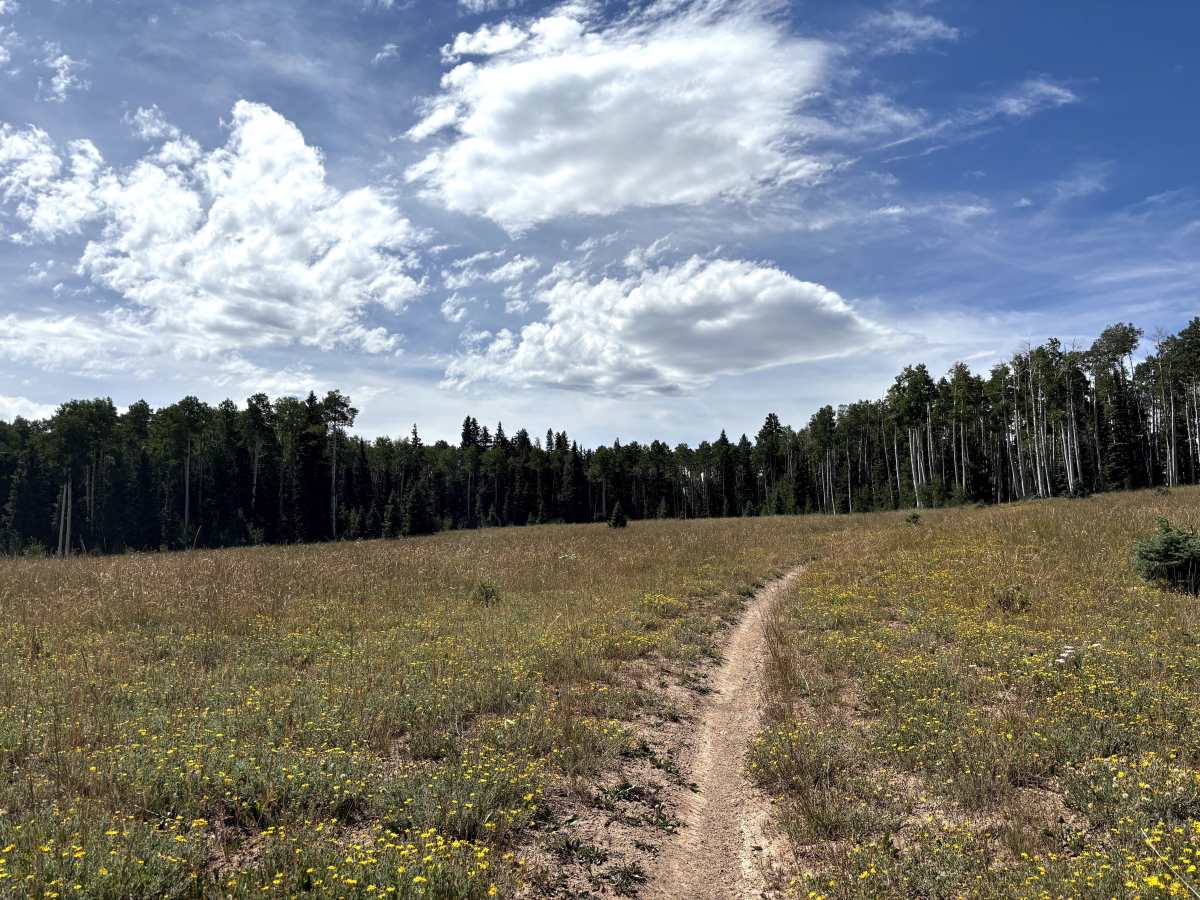 Red Canyon Trail photo 3