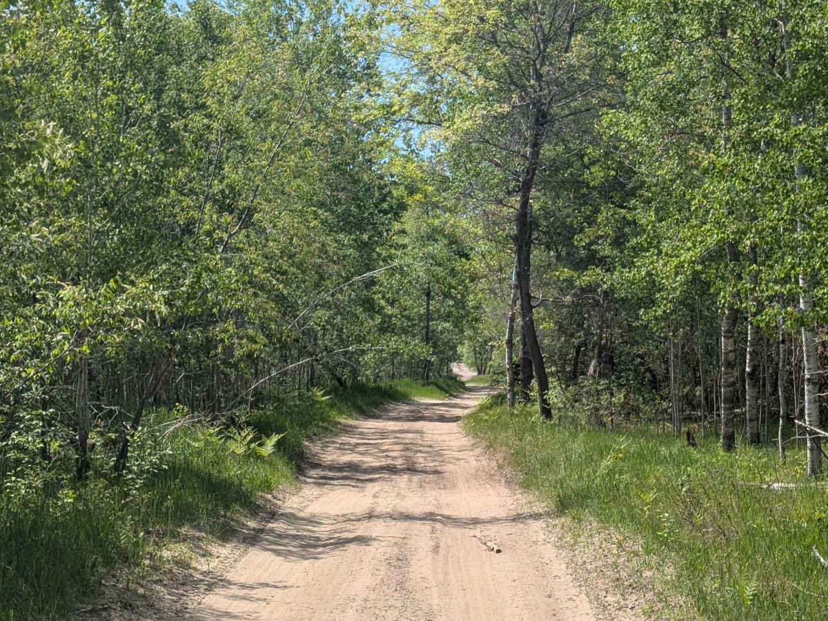 East Stratford Rd trail photo