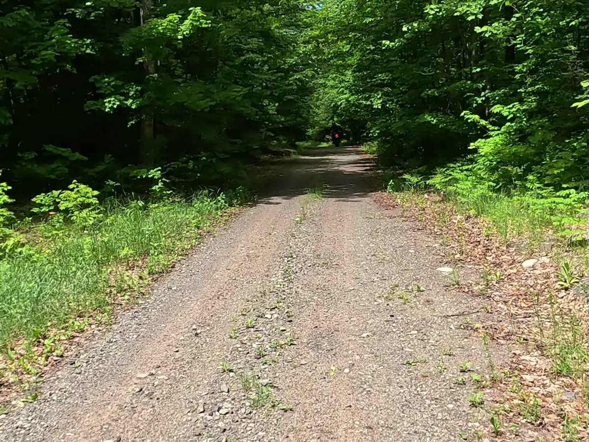 Red Road photo 5