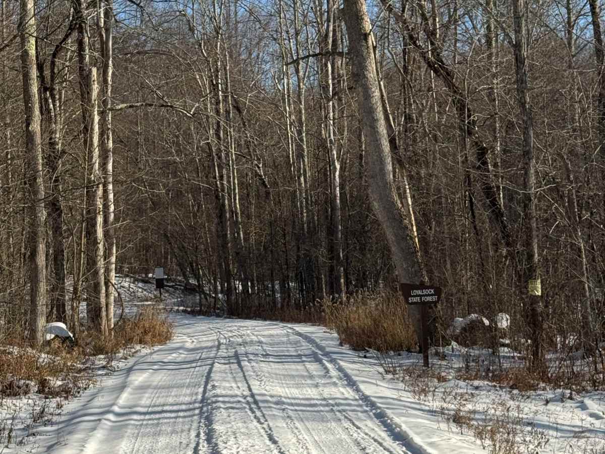 Masten Road photo 5