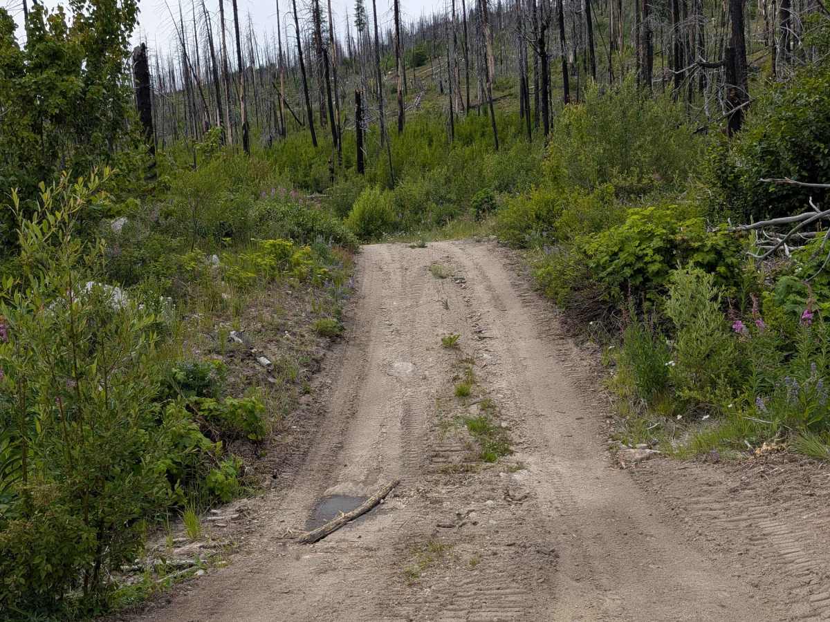 De Pue Creek Road photo 3
