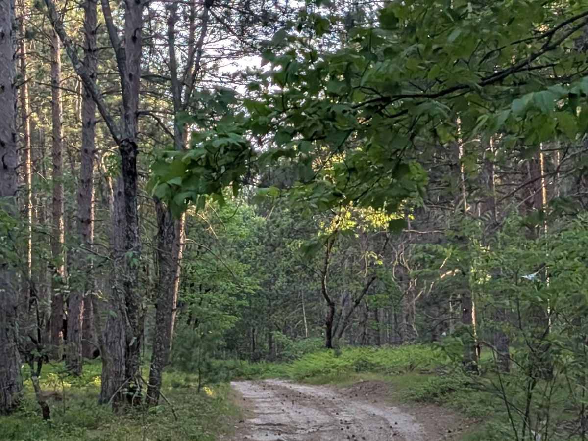  Beaver Dam Creek photo 6