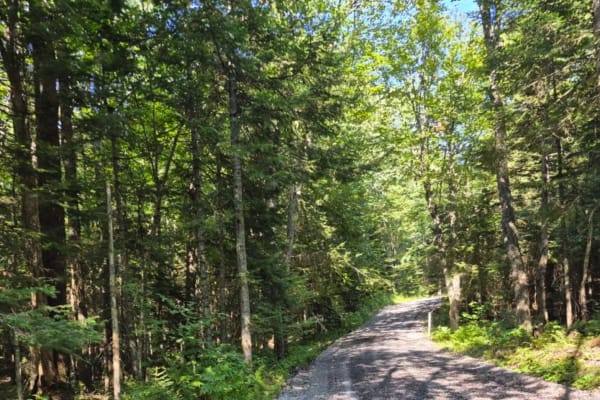 Maple Ridge