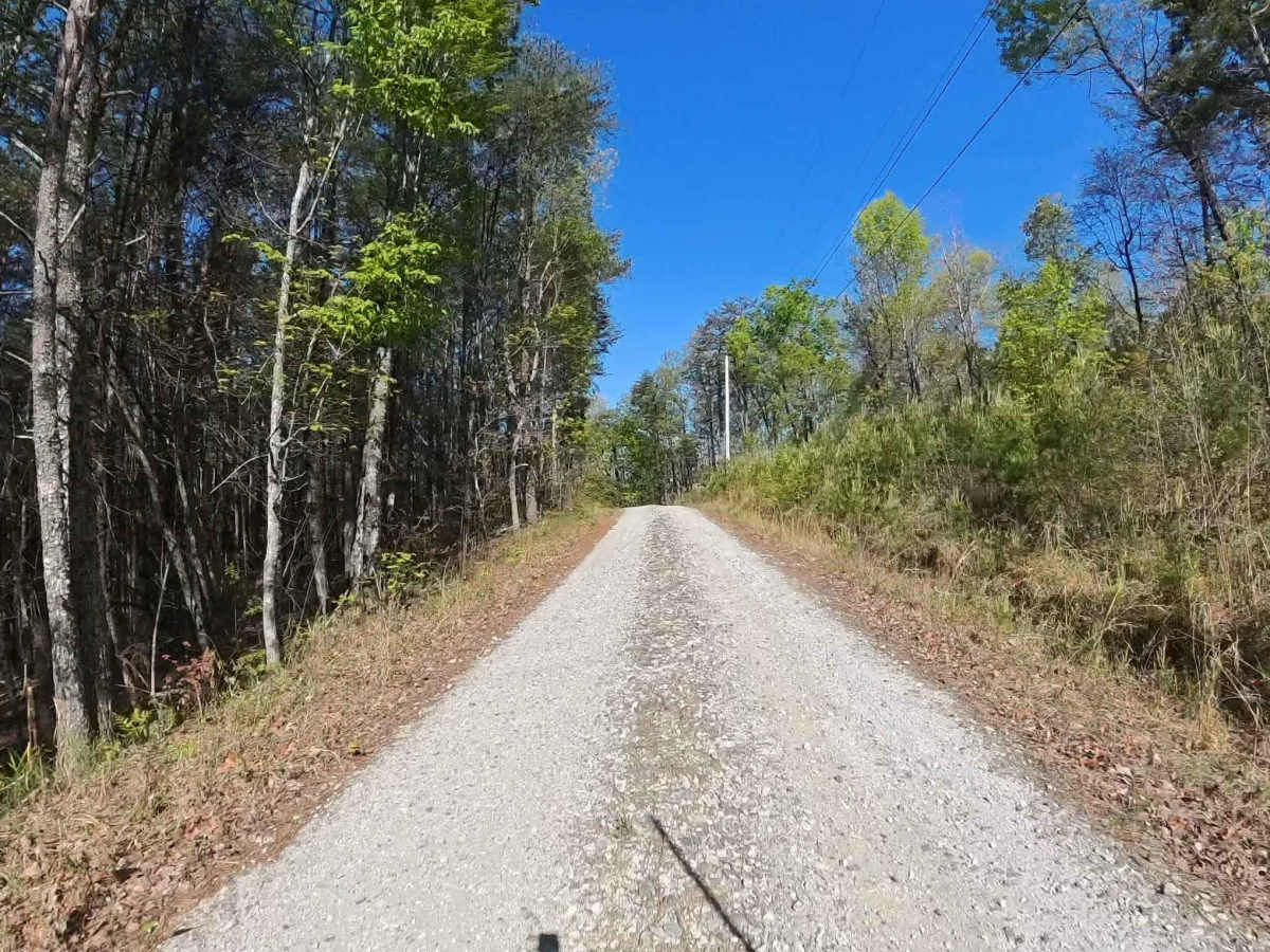 Forest Road 752 photo 2