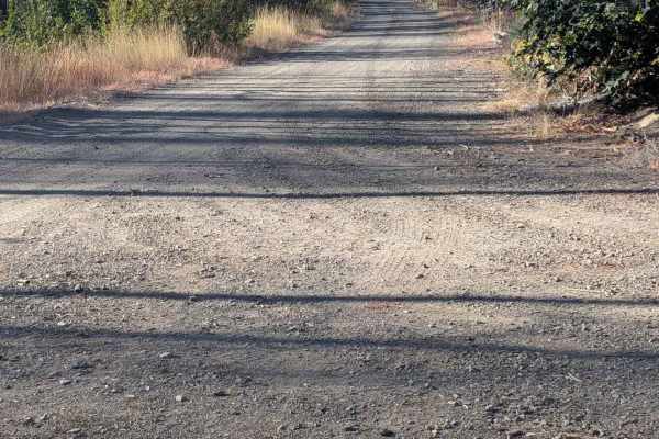 South Fork Goods Creek Road - FS 29N27