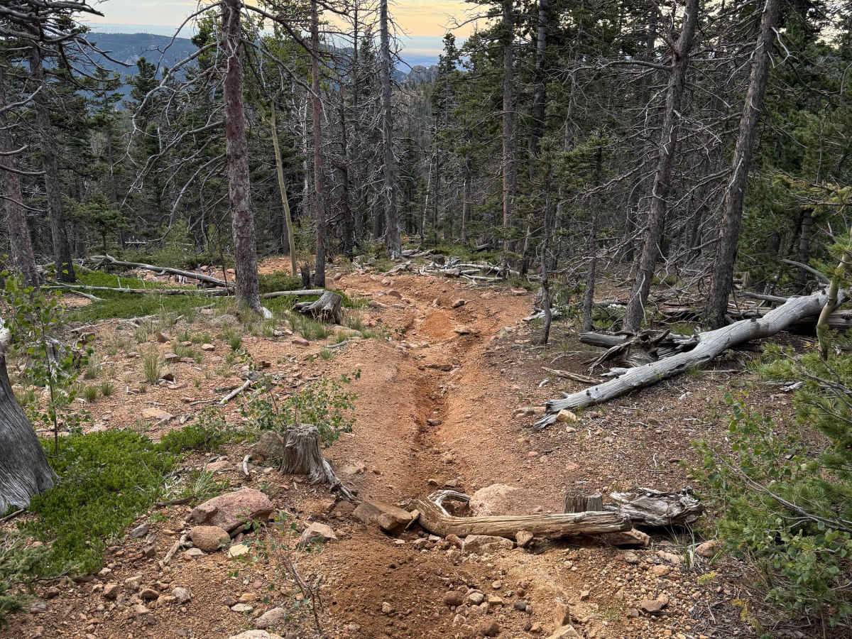 Nelsons Trail photo 3