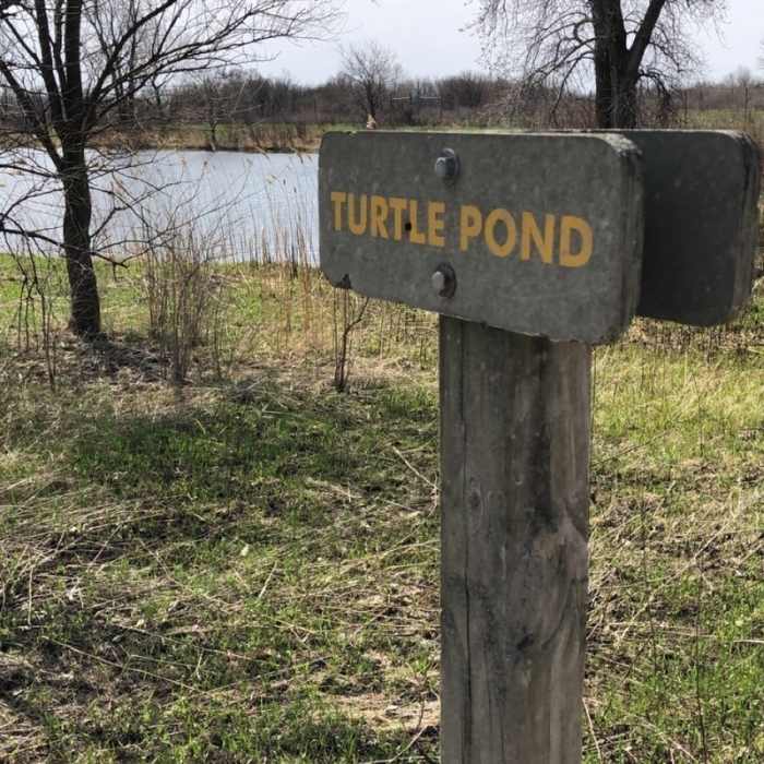 Near Turtle Pond Trail