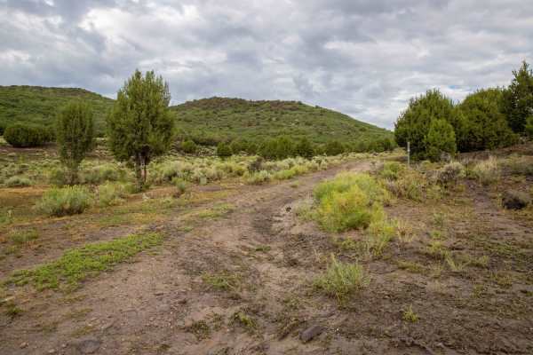 Lower Rocks Road Trail