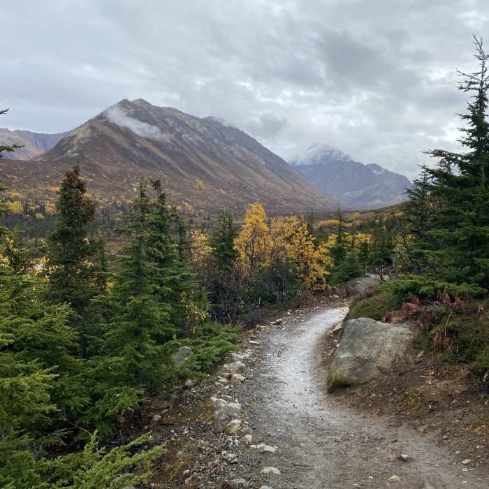 Near South Fork Eagle River Trail