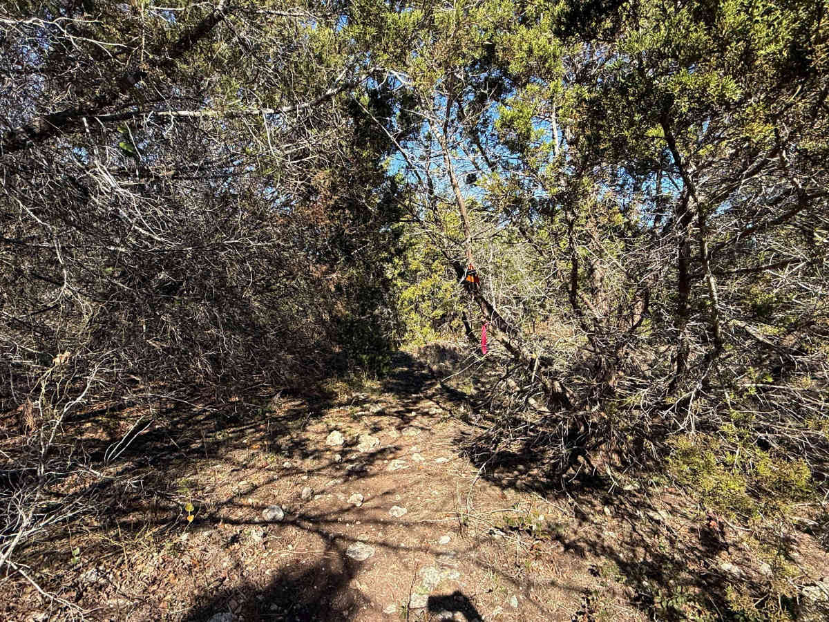 Raven's Crossing trail photo