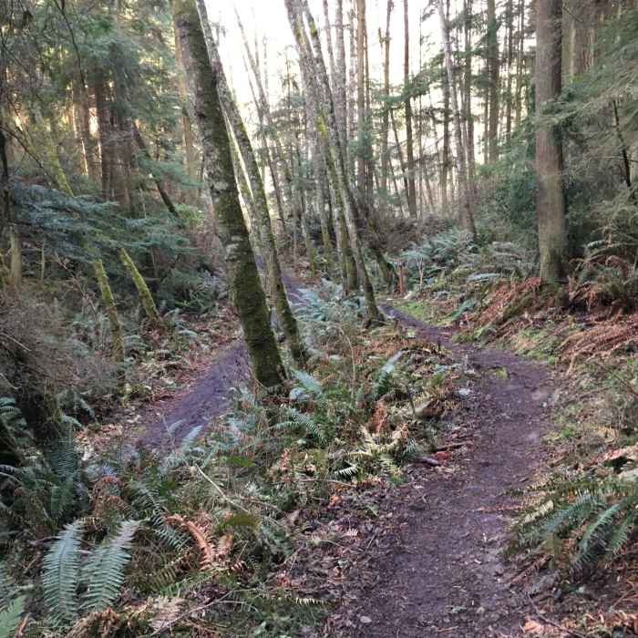 Near Brave Heart Trail