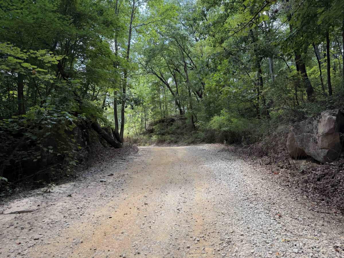 Cell Tower Road - 12 photo 2
