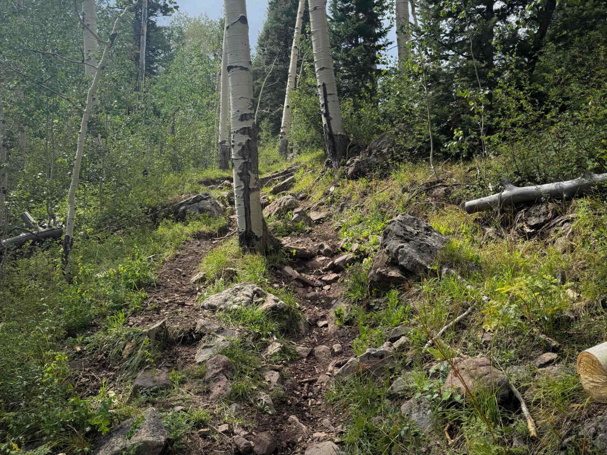 West Twin Springs - Trail 739  trail photo