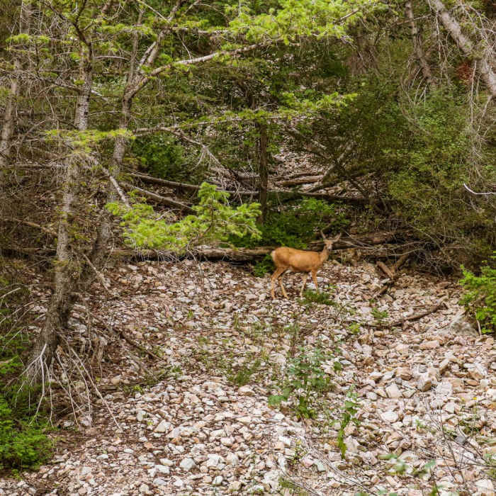 Near Stansbury Traverse