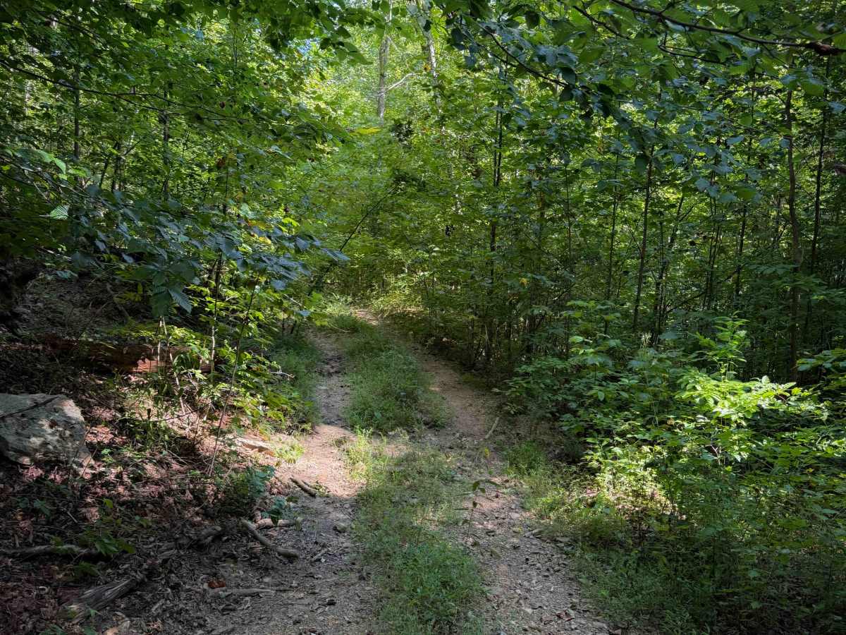 Herman Lowe Trail 25 photo 6