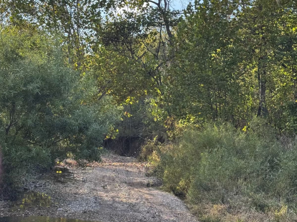 Riverbed photo 2