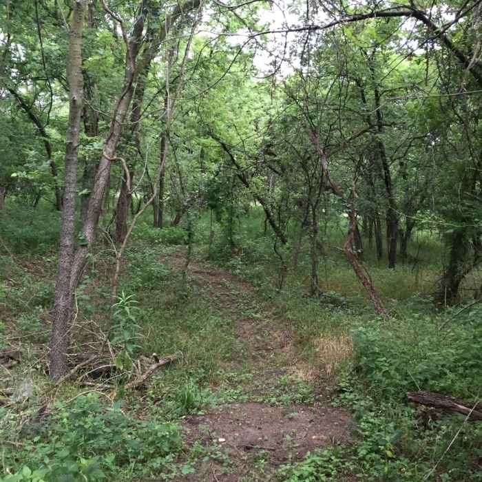 Near Hike and Bike Trail