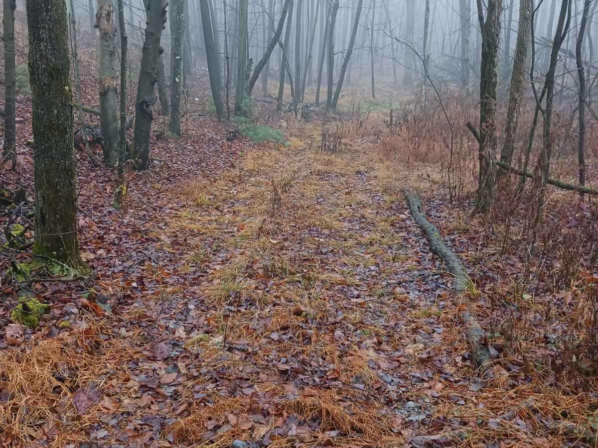 OHV 20 - Rock Run Recreation Area trail photo
