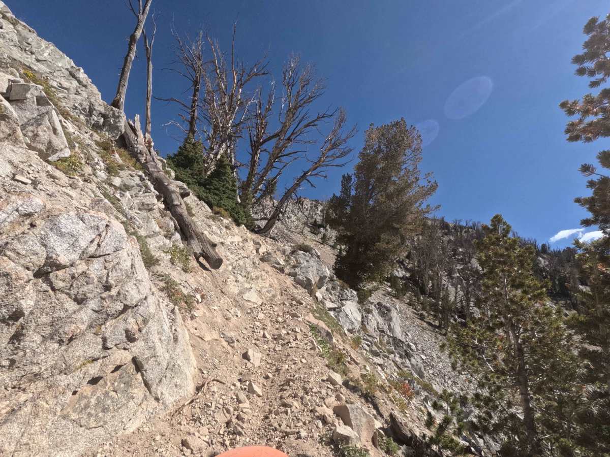Bass Creek - FS 7061 photo 3