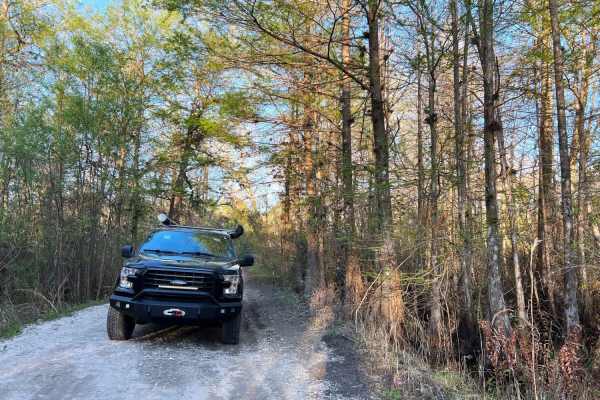 Danny Hole at Tiger Bay State Forest