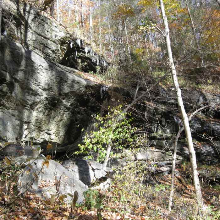 A shot of the drip falls in winter. Near Drip Falls Trail (Yellow)