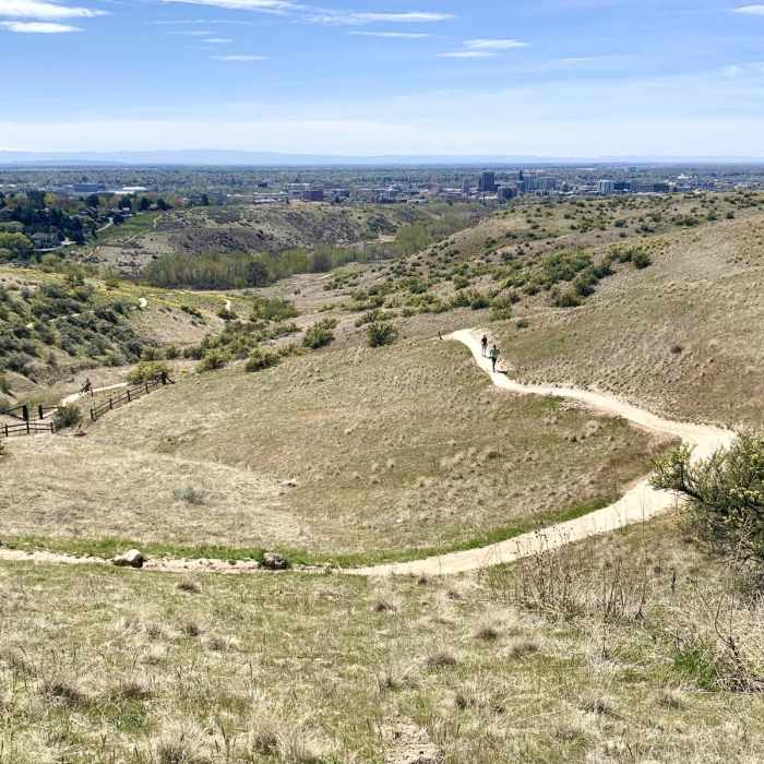 Near Military Reserve: Central Ridge