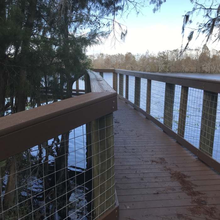 Near Black Bear Wilderness Area Trail