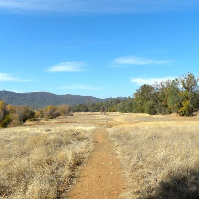 Near Darrington (Salmon Falls) Trail