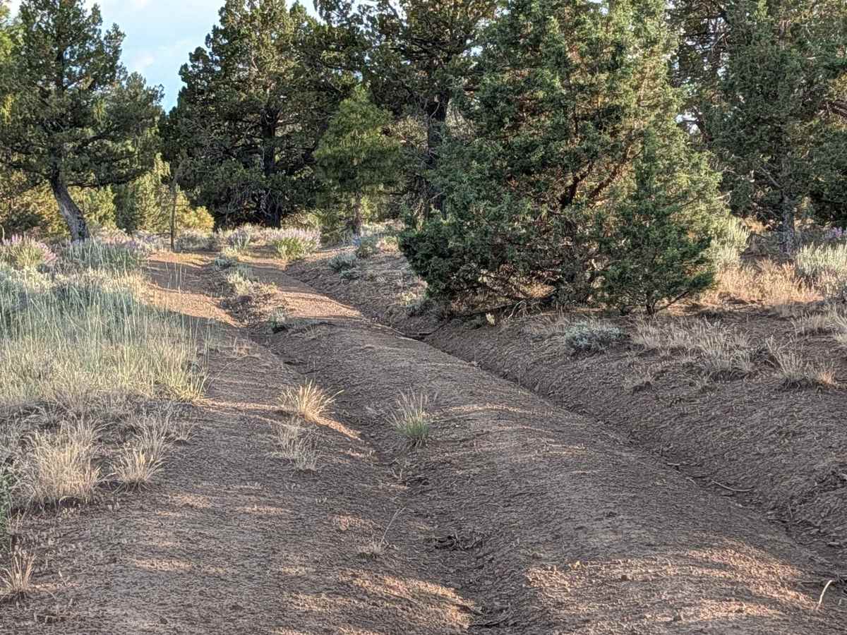 Bento Butte - FS 46N22 trail photo