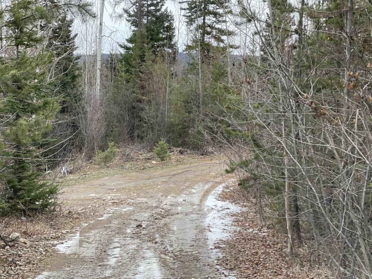 Edwin Lakes Road photo 6