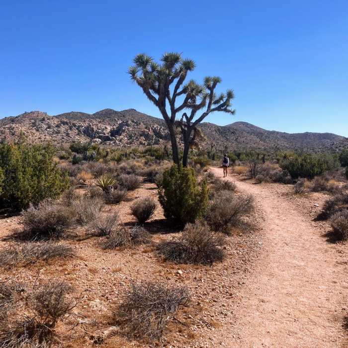 Near Ryan Campground to Lost Horse Mountain