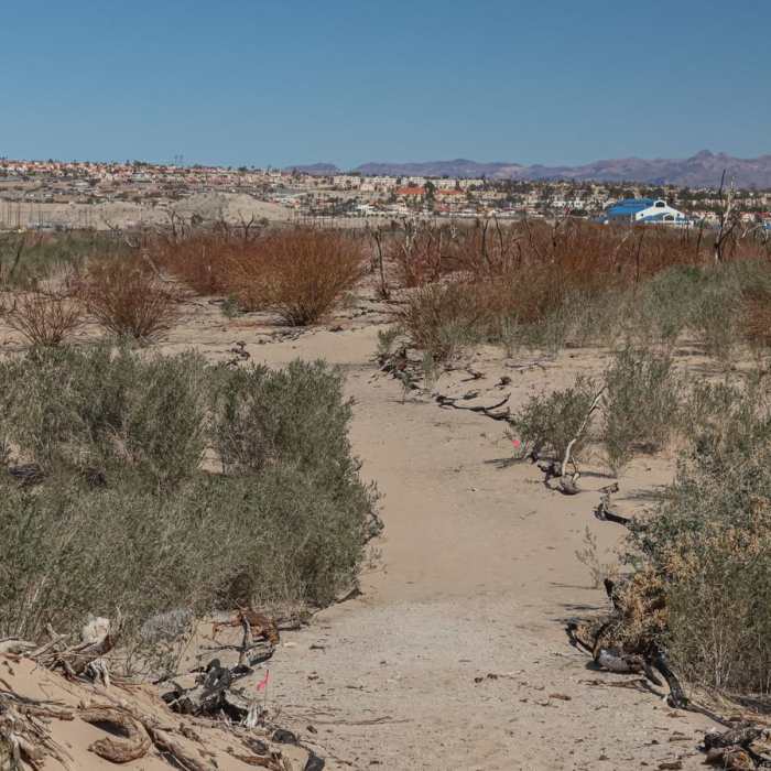 Near Swift Water Trail
