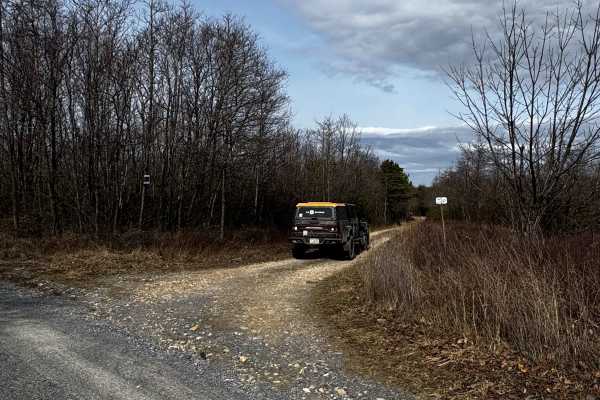 Nedcock Trail