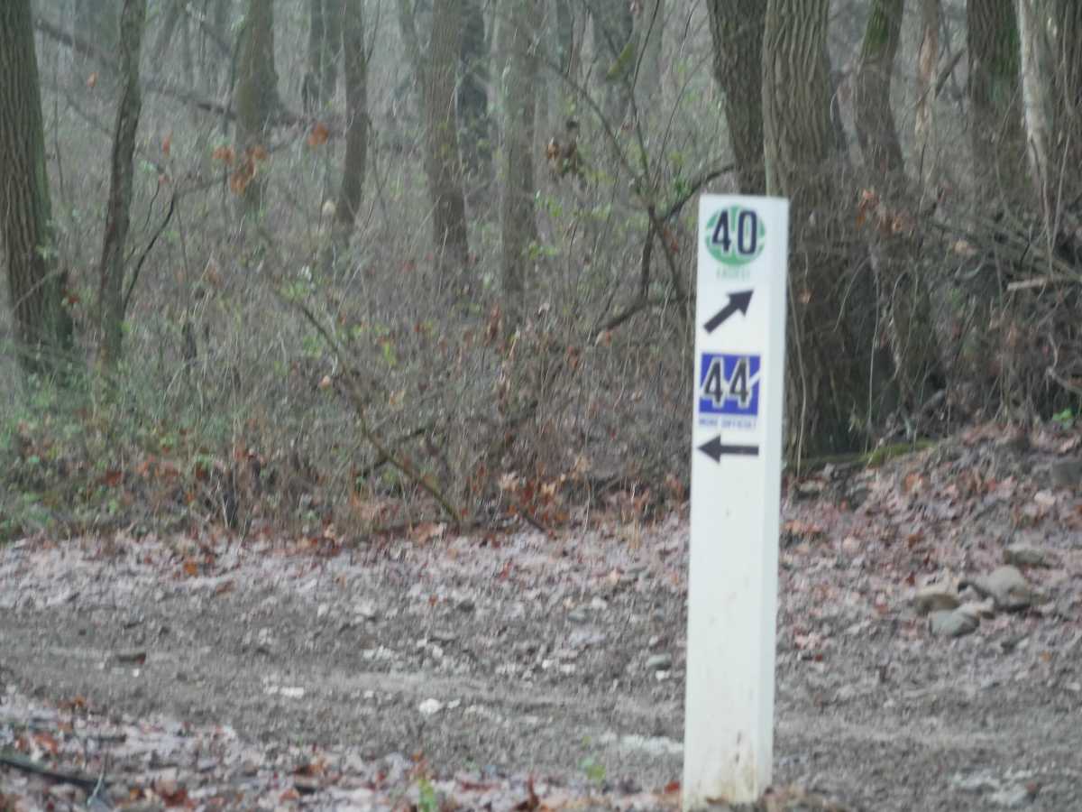 Trail 44 photo 3