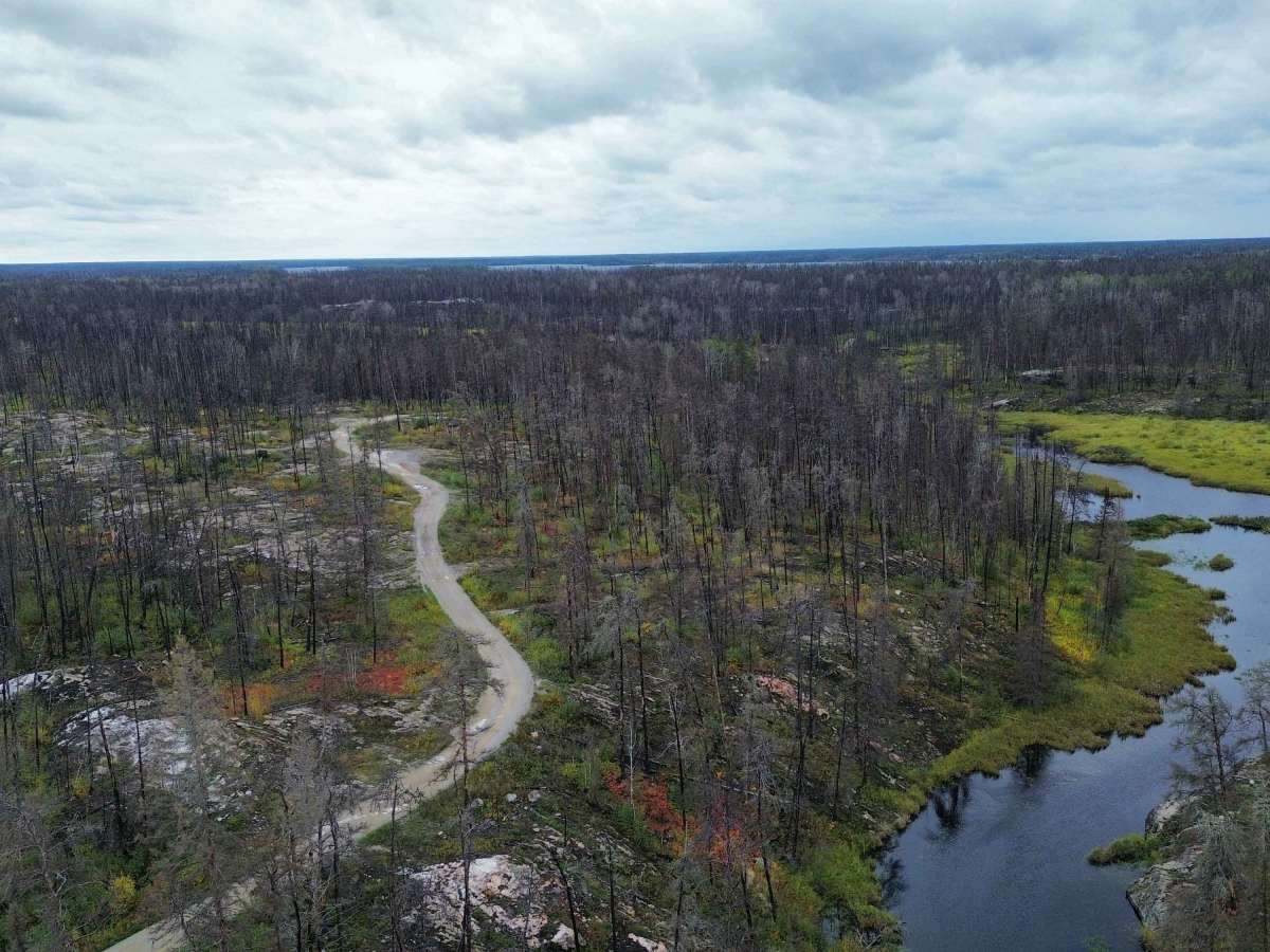 Quesnel Lake Road trail photo