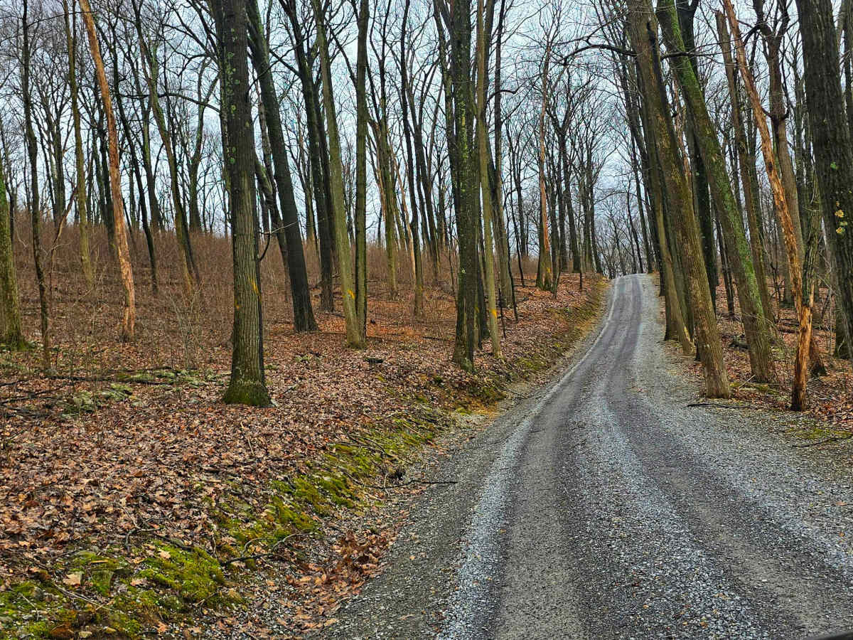 Meadows Road photo 5