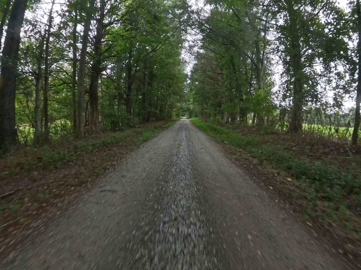 Monroe Tyler Road photo 4