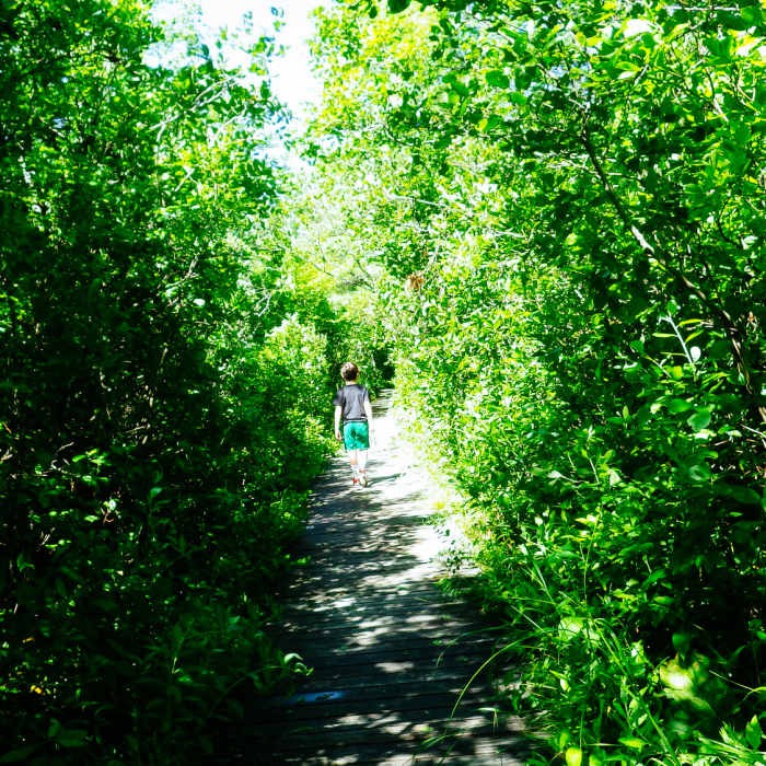 Near Boston Hill Loop