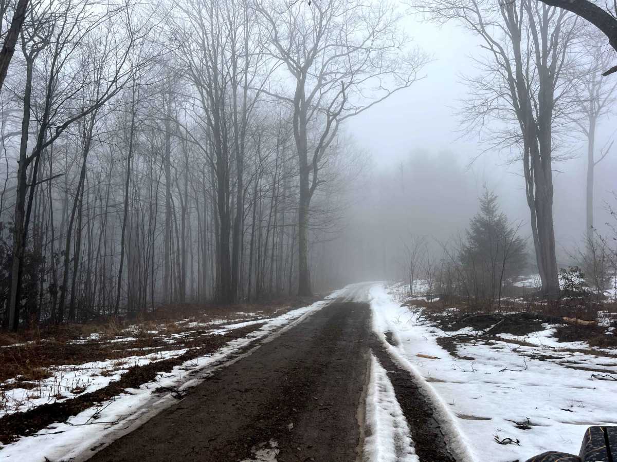 Hessel Gessel Trail photo 3