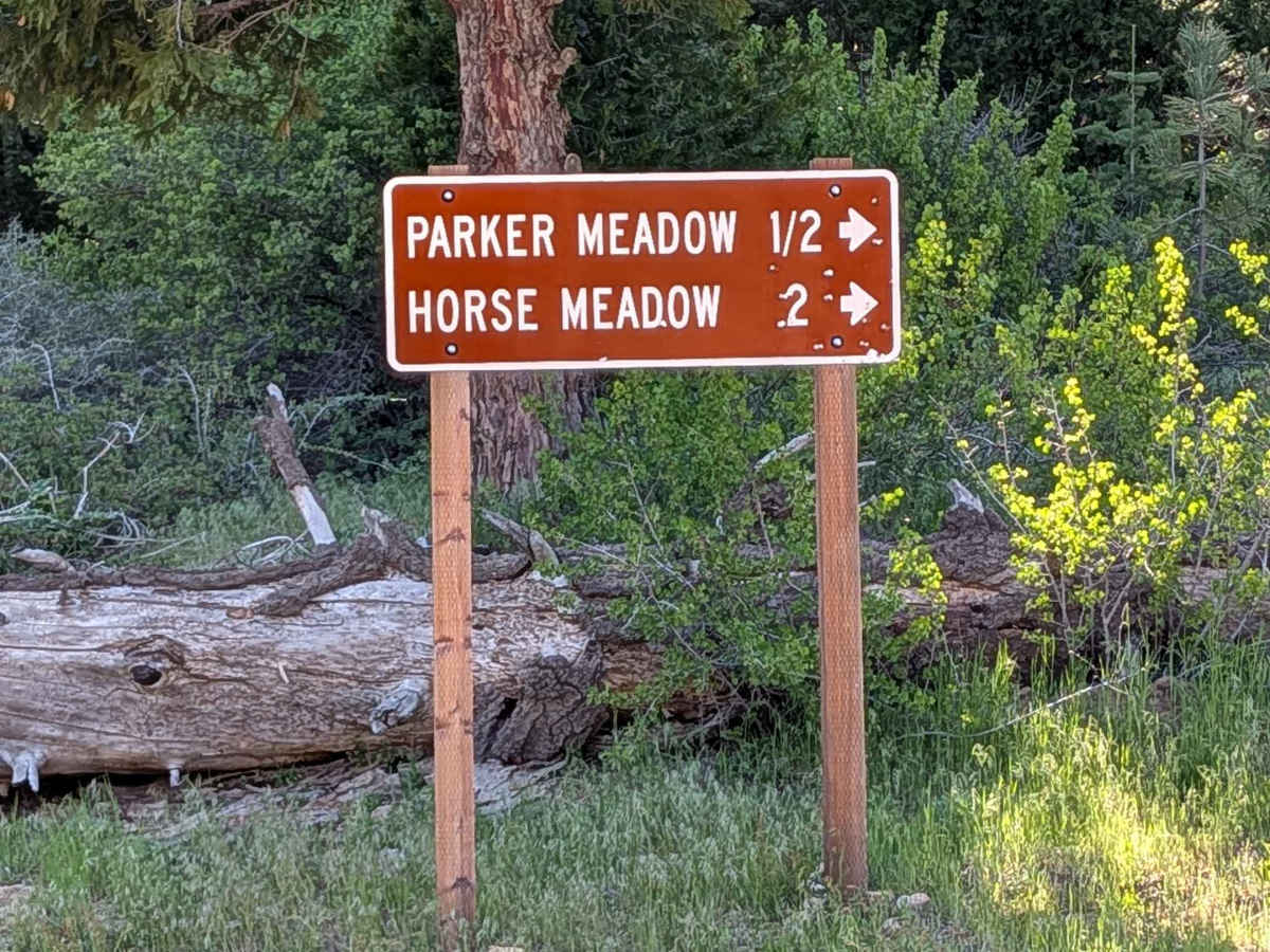 Horse Meadow Creek - FS 22S04 photo 6
