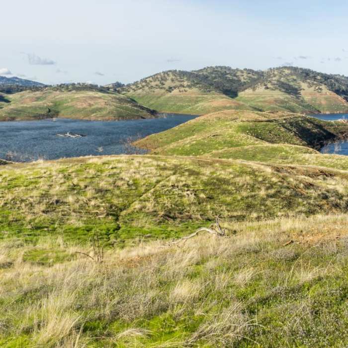 Near Heron Point Loop Hike