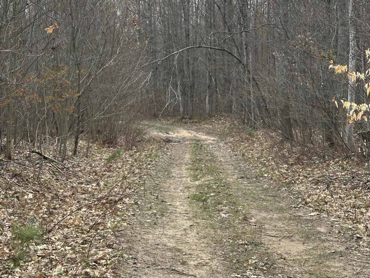 Fredric Cutover photo 2