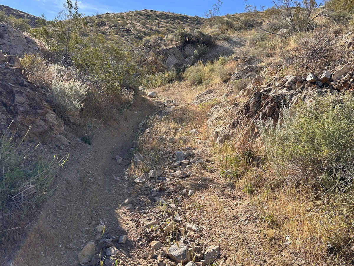Sidewinder Trail photo 4