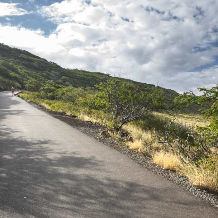 Near Makapu'u Point + Lighthouse Hike