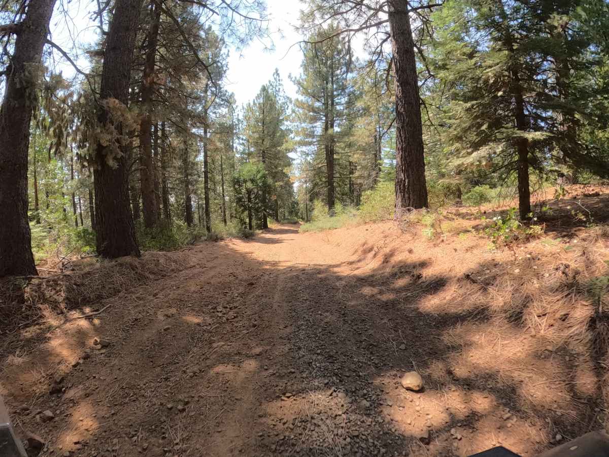 Francis Junction - FS 6S006 trail photo