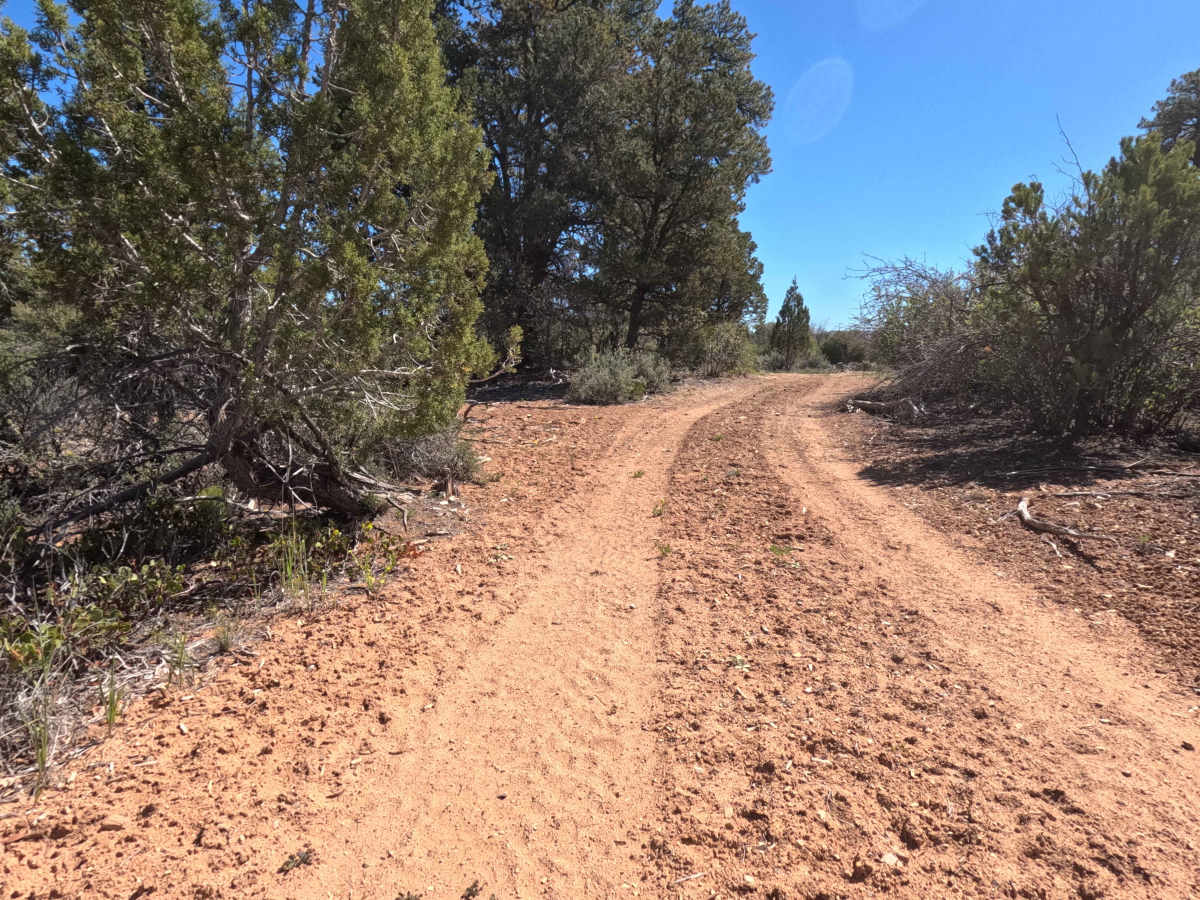BLM 73H photo 5