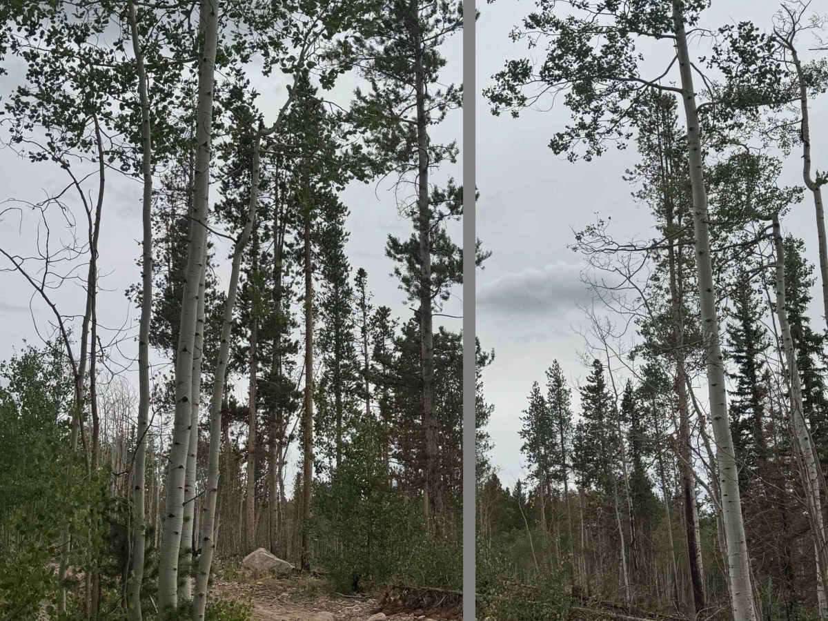 Carter Creek East photo 3
