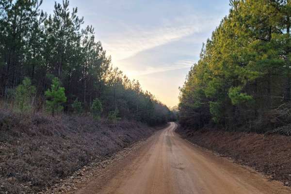 Country Route to White Oak Lake Group Campsite