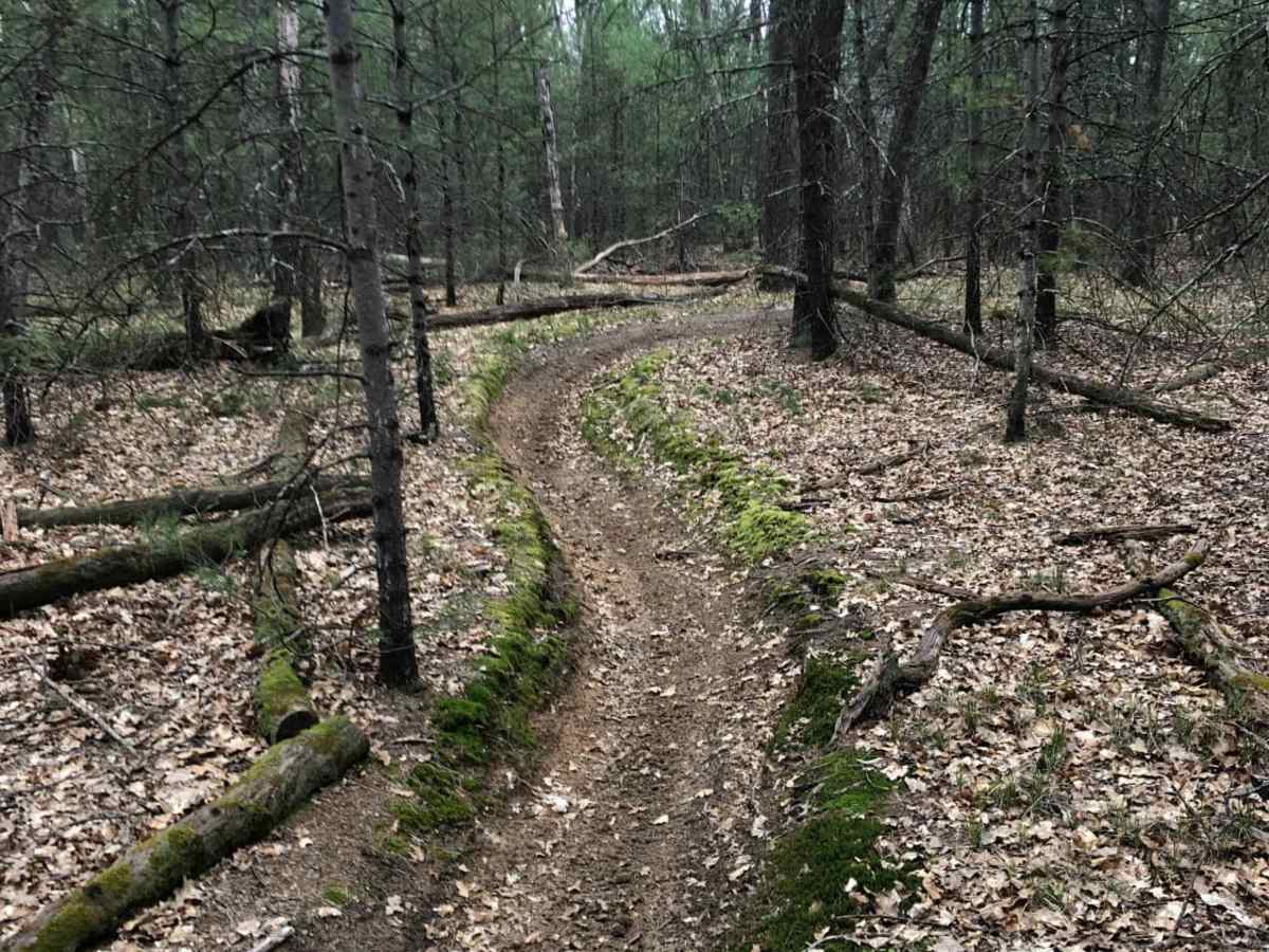 Holton Loop Motorcycle Trail photo 4
