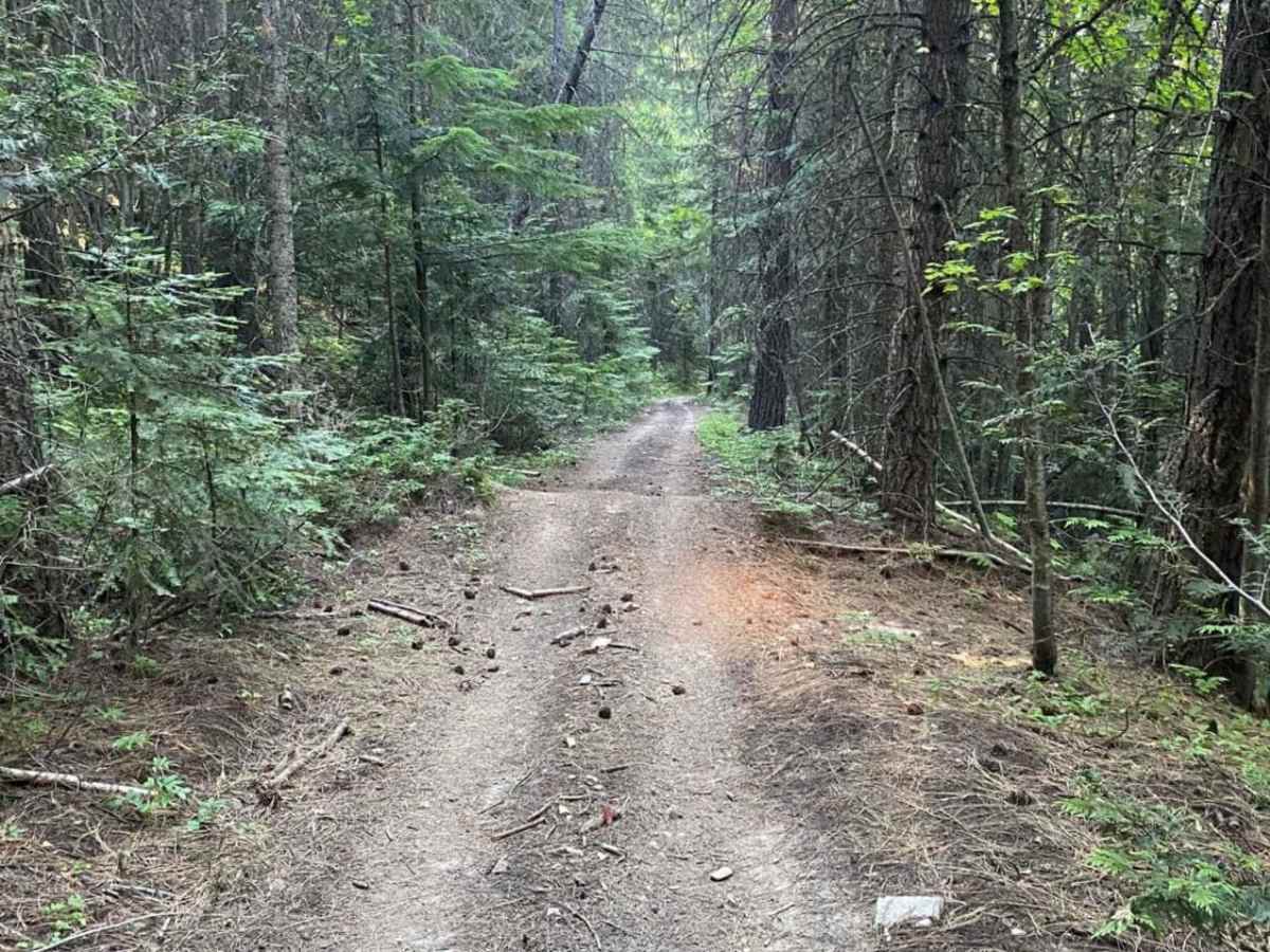 Flat Creek photo 2